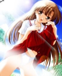 brown_eyes brown_hair comic_party long_hair mikage_subaru outdoors outside panties skirt skirt_lift sky solo sun underwear watermark white_panties yukirin