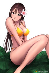 breasts brown_eyes brown_hair cleavage flower hair_flower hair_ornament legs long_hair long_legs original ryu_(artist) sitting swimsuit