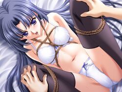 shinomiya karin from zebra ~ryoshuu no yakata~ by ginpachi