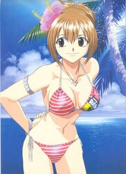 armband artist_request beach bikini bracelet brown_eyes brown_hair cloud elie flower groove_adventure_rave hair_flower hair_ornament hair_up jewelry navel necklace ocean outdoors rave rave_master side-tie_bikini sky solo striped striped_bikini striped_swimsuit swimsuit tree water