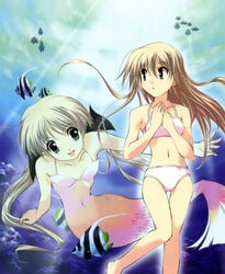 bikini brown_hair female female_only fish futakoi green_eyes long_hair mermaid monster_girl multiple_girls sasaki_mutsumi shirogane_sara shirogane_souju siblings sisters swimsuit twins underwater