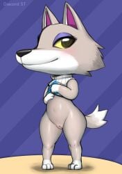 absurd_res animal_crossing anthro bottomless canid canine canis clothed clothing cuntboy diacordst fang_(animal_crossing) fur furry furry_only genitals hi_res intersex looking_at_viewer mammal nintendo no_underwear pussy solo tail wolf