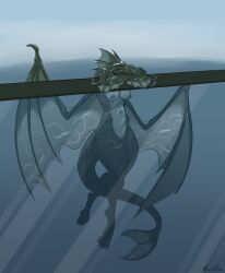 2022 anthro aquatic_dragon breasts dragon female frill_(anatomy) genitals goolee hi_res looking_at_viewer marine membrane_(anatomy) membranous_wings nipples nude partially_submerged partially_underwater_shot pussy scalie solo swimming underwater water wings