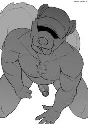 artist_name barazoku chest_tuft claws clothing domestic_ferret erection gay genitals gradient_background greyscale halftone hat headgear headwear hi_res line_art looking_at_viewer male male_focus male_only mammal monochrome muscular musk mustela mustelid musteline overweight pecs penis simple_background sinibun_95 smile solo tongue tongue_out true_musteline tuft underwear vein white_background