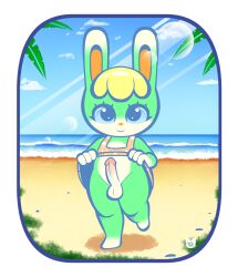 animal_crossing anthro balls beach blonde_hair blush clothed clothing fur genitals girly green_body hair hi_res lagomorph leporid looking_at_viewer male male_only mammal nintendo penis rabbit sasha_(animal_crossing) seaside skirt skirt_lift solo tophatmahoney topwear video_games water