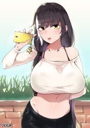 artist_name banana_(girls'_frontline) bangs bare_shoulders belly black_bra black_hair black_pants blunt_bangs blush boca bra breasts brick cellphone cellphone_charm charm_(object) collarbone crop_top dinergate_(girls'_frontline) earrings eyebrows_visible_through_hair female girls'_frontline grass hair_tie heterochromia highres jewelry large_breasts long_hair long_sleeves looking_at_viewer low_tied_hair low_twintails midriff multicolored_hair navel open_mouth orange_eyes pants phone ro635_(girls'_frontline) see-through shirt silver_hair smartphone solo standing streaked_hair tight tight_pants twintails underwear waving white_shirt yellow_eyes