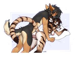 anthro bisha_(f-r95) canine dog doggy_style dusty_rassir feline female german_shepherd male pillow sex tiger tigress