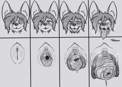 1girls after_sex after_vaginal ahe_gao anthro blush canine comparison female female_only furry gaping_pussy monochrome open_mouth original original_character pointy_ears prolapse prolapsed_pussy pussy ruined_pussy solo tears toby_art tongue tongue_out uncensored