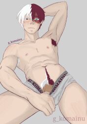 g_komainu male male_only my_hero_academia pubic_hair red_hair red_pubic_hair shouto_todoroki underwear white_hair white_pubic_hair