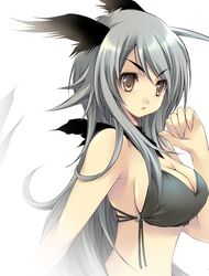 1girls animal_ear bangs bikini brown_eyes demon_girl grey_hair original swimsuit ta_kaana wolf_ears wolf_girl