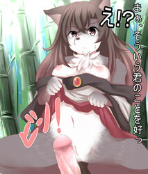 2017 akatsuki_no_guuru anthro anus black_nose breasts brown_eyes brown_hair canine clothed clothing disembodied_penis duo female female_focus fur grey_fur hair human human_on_anthro interspecies japanese_text kagerou_imaizumi looking_at_viewer male mammal navel nipples partially_clothed penis pussy solo_focus straight text touhou translation_request white_fur wolf