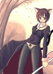 animal_ears black_legwear cat_ears highres kimarin lace-trimmed_panties panties panties_under_pantyhose pantyhose poring priest priest_(ragnarok_online) priestess ragnarok_online standing underwear