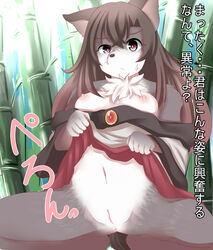 2017 akatsuki_no_guuru anthro anus black_nose breasts brown_eyes brown_hair canine clothed clothing female fur grey_fur hair japanese_text kagerou_imaizumi looking_at_viewer mammal navel nipples partially_clothed pussy solo text touhou translated white_fur wolf