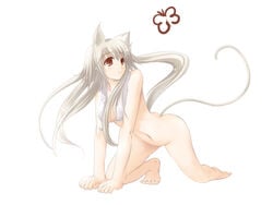 all_fours animal_ears artist_request barefoot blush butterfly cat_ears long_hair no_panties nude open_clothes open_shirt red_eyes satomi shirt solo tail towel white_hair