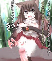 2017 akatsuki_no_guuru anthro anus black_nose breasts brown_eyes brown_hair canine clothed clothing disembodied_penis duo female female_focus fur grey_fur hair human human_on_anthro interspecies japanese_text kagerou_imaizumi looking_at_viewer male mammal navel nipples open_mouth partially_clothed penis pussy solo_focus straight text touhou translation_request white_fur wolf