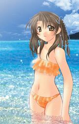 bikini braid brown_eyes brown_hair mermaid_no_kisetsu naruse_chisato original swimsuit tankini water