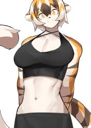 1girls anthro arknights aspirindabaitu big_breasts breasts female furry mx99926 solo solo_female tagme tiger tiger_girl waai_fu_(arknights)