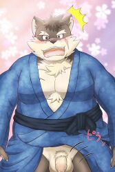 alternate_version_at_source anthro asian_clothing balls blush canid canine canis clothing domestic_dog east_asian_clothing embarrassed eyebrows flaccid foreskin genitals hi_res japanese_clothing kimono lifewonders male mammal moritaka overweight overweight_male pecs penis pubes scar solo thick_eyebrows tokyo_afterschool_summoners video_games yom_mido_plus