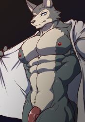 abs anthro beastars canid canine canis clothing croiyan genitals legoshi_(beastars) male male_only mammal muscular muscular_male navel nipples pecs penis solo undressing wolf