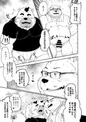 2022 anthro balls belly big_belly blush bulge censored closed_eyes clothing comic duo erection eyewear genitals glasses hi_res japanese_text kemono male male/male mammal mature_male moobs nipples overweight overweight_male penis shintatokoro text towel towel_around_neck underwear ursid