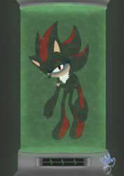 Sonic (Series) Rule 34 Image