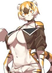 1girls anthro arknights aspirindabaitu big_breasts breasts female furry mx99926 solo solo_female tagme tiger tiger_girl tomboy waai_fu_(arknights)