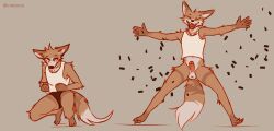 2022 anthro balls bottomless canid canine canis cantio_(lawyerdog) closed_eyes clothed clothing confetti coyote crouching genitals hi_res humanoid_genitalia humanoid_penis lawyerdog male male_only mammal open_mouth penis shirt simple_background solo tank_top topwear underwear