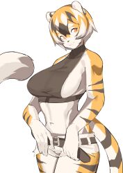 1girls anthro arknights aspirindabaitu big_breasts breasts female furry mx99926 solo solo_female tagme tiger tiger_girl waai_fu_(arknights)