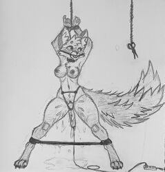 anthro bondage collar female fox fox_ears fox_tail furry gag graphite_(artwork) hands_tied hitachi_magic_wand nipples orgasm orgasm_face pencil_(artwork) punishment scissors self_bondage sketch solo spread_legs spreader_bar squirting vibrator