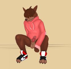 anthro balls clothing erection footwear genitals hi_res male penis pubbi shaded shoes skater solo sweater topwear