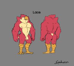 avian balls bird genitals hi_res lace_(small_on_top) male male_focus male_only male_solo model_sheet muscular muscular_male nipples nude penis simple_background small_on_top solo solo_male spedumon