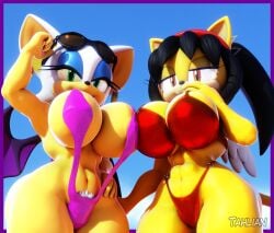 3d_(artwork) anthro big_breasts bikini breast_to_breast breasts chiropteran clothing digital_media_(artwork) domestic_cat duo felid feline felis female hi_res honey_the_cat mammal pubes rouge_the_bat sega sling_bikini smile sonic_(series) sonic_the_fighters sonic_the_hedgehog_(series) swimwear tahlian wide_hips