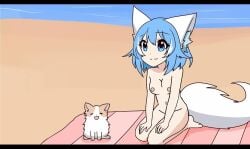 animal animation_meme_community beach beach_towel blue_eyes blue_hair canine ears mochi_(wolfychu) nude on_knees tagme towel virtual_youtuber wolf_ears wolf_tail wolfychu youtube youtuber