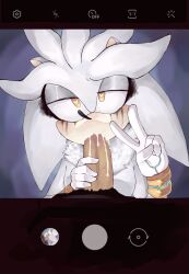 shadow the hedgehog from sonic (series)