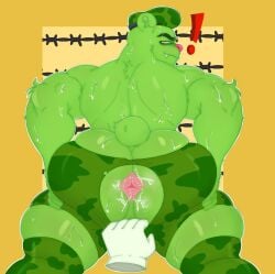 1male anthro anus armpit_hair ass bear beret big_butt bodily_fluids body_hair bubble_butt butt_squish camo clothing flexing flippy_(htf) furry gay grey_body hand_on_butt happy_tree_friends hat headgear headwear local_candybot looking_at_viewer looking_back looking_back_at_viewer male male_only mammal muscular muscular_anthro muscular_male presenting_ass smile solo spread_butt spreading squish standing sweat sweaty_butt thick_thighs ursid