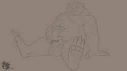 2d_animation anal anal_sex animated anthro badger balls belly belly_squish bound duo genitals hi_res male male/male mammal metalfoxt murid murine mustelid musteline penetration rat rodent size_difference squish