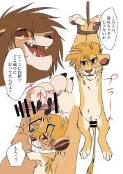 absurd_res bondage bound censored cloth_gag cub disney felid gagged gay hands_above_head hands_tied hi_res lion male male/male male_only mammal pantherine penis rope sasamaru the_lion_king yaoi young