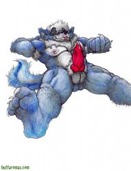 anthro blue_body blue_fur bodily_fluids canid canine canis dripping feet foot_fetish foot_focus foot_fuck_off fur genital_fluids hi_res knot looking_at_viewer male mammal muscular musk precum precum_drip solo wolf yagi_b._(artist)