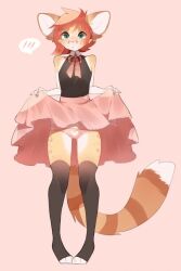 1boy anthro arm_warmers beige_fur black_topwear bow bow_around_neck brown_fur crossdressing cute femboy fennec_fox frail fredek666 furry gloves green_eyes meerkat panties pink_panties pink_skirt red_hair skirt skirt_lift skirt_up slender socks soft stockings striped_tail tan_fur thighhighs thin_arms toeless_legwear toeless_socks white_gloves wholesome