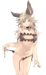 animal_ears black_bra black_panties bra breasts brown_eyes cat_cutout cat_ear_panties cat_lingerie choker cleavage_cutout clothing_cutout erune female female frilled_bra frills granblue_fantasy grey_hair hair_between_eyes kochiya_(gothope) looking_at_viewer medium_breasts meme_attire navel panties sen_(granblue_fantasy) side-tie_panties solo underwear untied untied_panties white_background