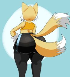feminine tails from sega by susknuckles