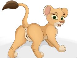 anus ass brown_body disney felid female feral genitals hi_res lion looking_at_viewer mammal pantherine pussy raised_tail simple_background solo the_lion_king tiifu white_background yosshi