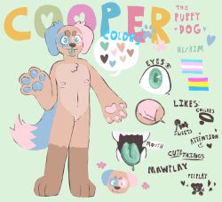 andromorph anthro canid canine canis cooper_(parkwillbark) cuntboy domestic_dog english_text intersex male mammal model_sheet parkwillbark solo text