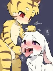 blush bunny_boy dominant_male domination drool drooling furry head_grab heart heart-shaped_pupils male purple_eyes rabbit rabbit_boy red_eyes sex submissive submissive_male tiger tiger_boy tiger_stripes yaoi zaramecatnyar