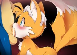 blush censored dagasi deepthroat dominant dominant_male domination face_fucking furry head_grab male male/male male_only penis sega sonic_(series) sonic_the_hedgehog sonic_the_hedgehog_(series) submissive submissive_male tails tails_the_fox throat_fuck thrusting thrusting_into_mouth yaoi