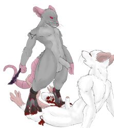 anthro blood bodily_fluids broken_bone duo entwined_tails envtoxic fantasy foot_crush gore hi_res knife male male/male male_ryona mammal prosthetic prosthetic_leg prosthetic_limb rats rodent severed_leg severed_limb skaven tail_coil warhammer_(franchise) warhammer_fantasy