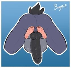 avian big_penis bird black_penis bunnyfeet dominant feet foot_fetish foot_play genitals lagomorph leporid male mammal musk no_humans penis pink_soles rabbit soles