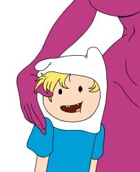 finn the human from adventure time