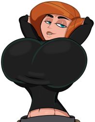 ann possible from disney by unknown artist