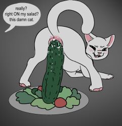 all_fours ambiguous_gender anal anal_sex ass_up cucumber domestic_cat felid feline felis feral food fruit hi_res lube_in_ass mammal mischievous_smile penetration plant riding riding_toy simple_background solo speech_bubble taunting teeth woman_yelling_at_a_cat y0urd3sir3